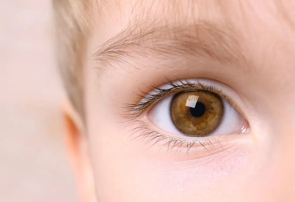 Close up of child's eye